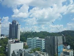 Hillview Regency (D23), Condominium #149669682